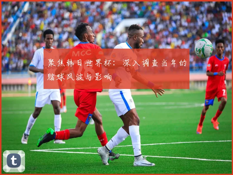 聚焦韩日世界杯：深入调查当年的赌球风波与影响