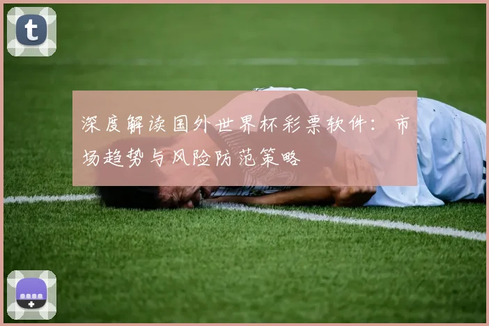 深度解读国外世界杯彩票软件：市场趋势与风险防范策略